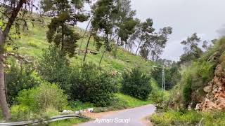 قرية طلوزة / نابلس Palestine قرية طلوزة / نابلس Palestine