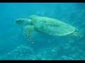 Best of Hurghada 2007