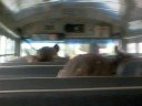 lawrence the bus driver