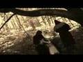 the-hanging-tree-a-n