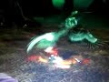 WoW glider the warrior WoW glider the warrior