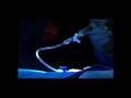 videos de Tecnología , Ciencia y sueños 