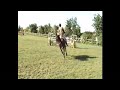 Urion   - Foxhunter May 2007
