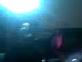 mio fratello fuma a scrocco-tony tammaro