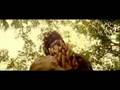 Peacebone for Animal Collective by Timothy Saccenti