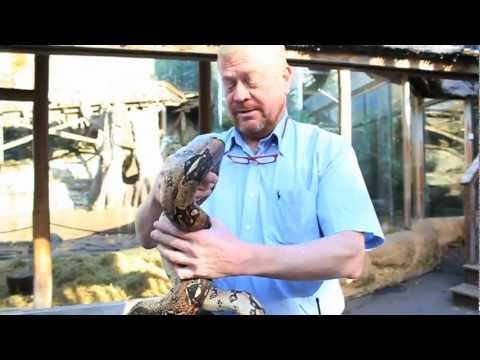 Våra elever