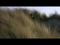 videos de Adrian Munsey - The Sky Inside