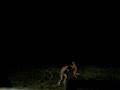 videos de snow run
