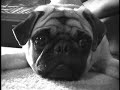 Max\