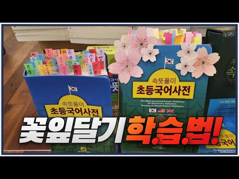 속뜻사전을 보다 재미있게 활…