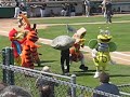 Mascots