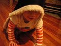 Nora, extraordinary creature