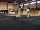 aikitenshin dojo romania