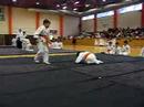 aikitenshin dojo romania