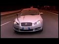 jaguar XF & Ziga Colja jaguar XF & Ziga Colja