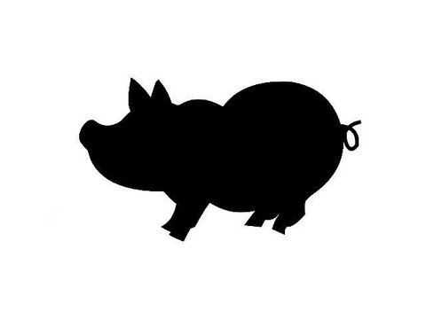 Imatge de previsualització de YouTube
