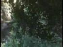 videos de ES Halo 3-Out of Sierra117