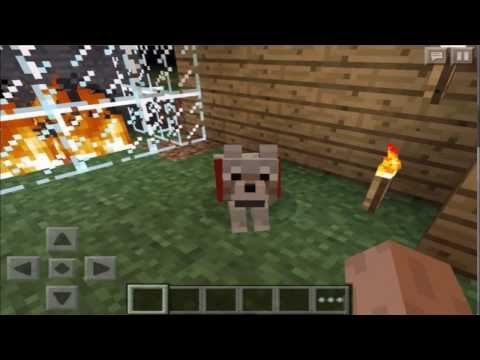 how to dye dogs collars in minecraft pe