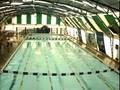 videos de 50m Libres Provincial 2008