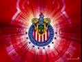 ME VALE VERGARA LAS PUTAS CHIVAS