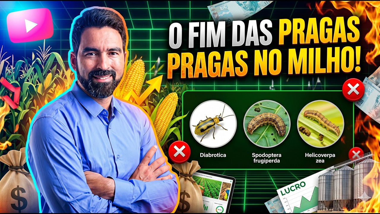 Agronomia em campo: Professor Fabrício explica o manejo das principais pragas do milho.