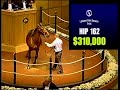 Mr. Cantab - Lexington Selected Yearling Sale