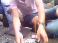 Grupo 3