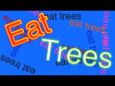 The Films of Bill Wurtz