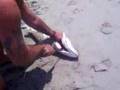 BiiGg AsS FiiSh At A BEACH!!