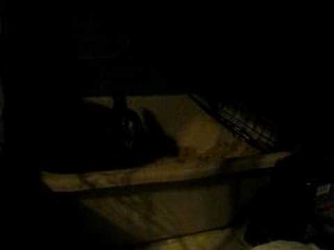how to clean and whiten ivory