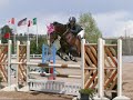 horse jumping live