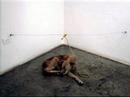anticristo injusticia arte Guillermo Habacuc Vargas anticristo injusticia arte Guillermo Habacuc Vargas
