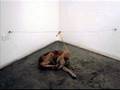 anticristo injusticia arte Guillermo Habacuc Vargas