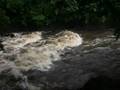 Flooded Derwent