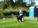 Buntzen in AKC Rally Novice