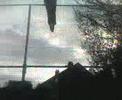 Spiderman Barry Metcalfe Can He Climp Holyrood Fence(8)