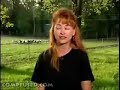 fainting goats fainting goats