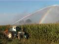 IRRIGAZIONE CAMPO DI MAIS CON GETTO MOBILE