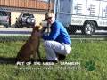 Pets of the Week Show for December 4, 2009