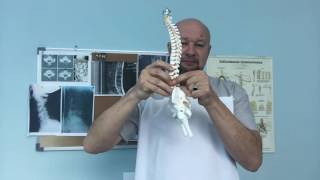 Почему болит спина? Часть 4.