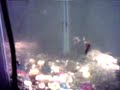 Corys Gone Wild!!!! Corys Gone Wild!!!!