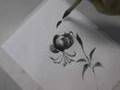 Lily Sumi-e