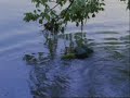 The Green Dress - Chapter 3