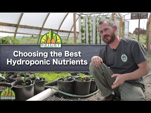 how to fertilize hydroponic tomatoes