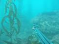 Spearfishing California, Monterey Peninsula