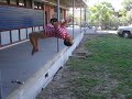 Flip Flip