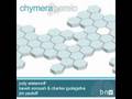 Chymera - Parelo (Kaveh Soroush & Charles Gudagafva Mix)