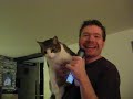 Stay (Then Kitty leaves)