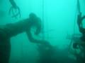 Spearfishing Rockfish in Northern California