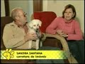 Chico na TV Chico na TV